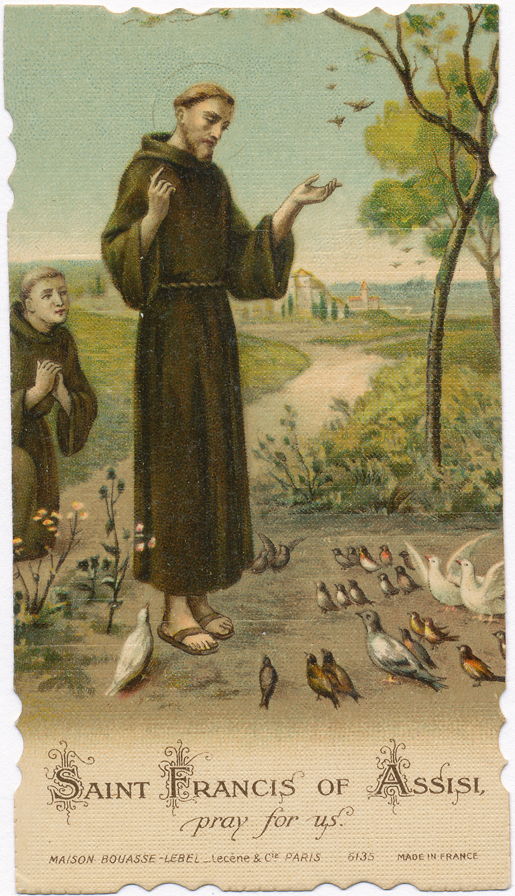 Saint Francis of Assisi